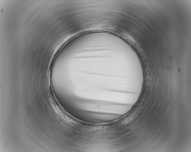 X0000052540892200507221423