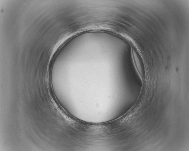 X0000052540894200507221423