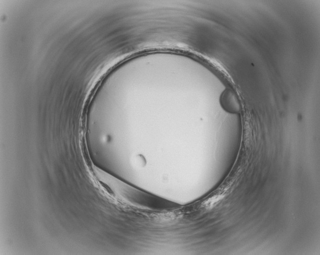 X0000052540895200507221423