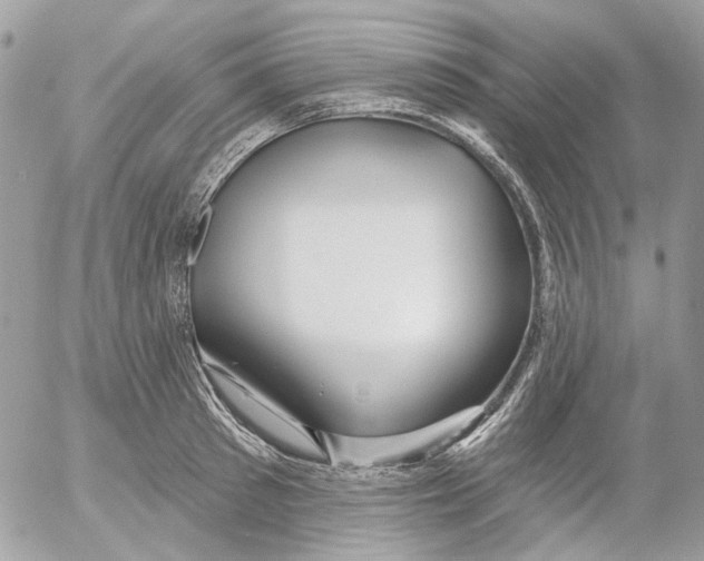 X0000052540897200507221423