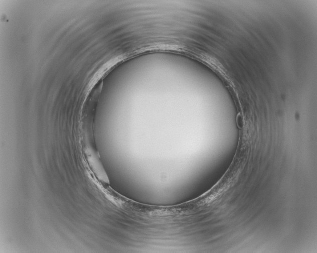 X0000052540898200507221423