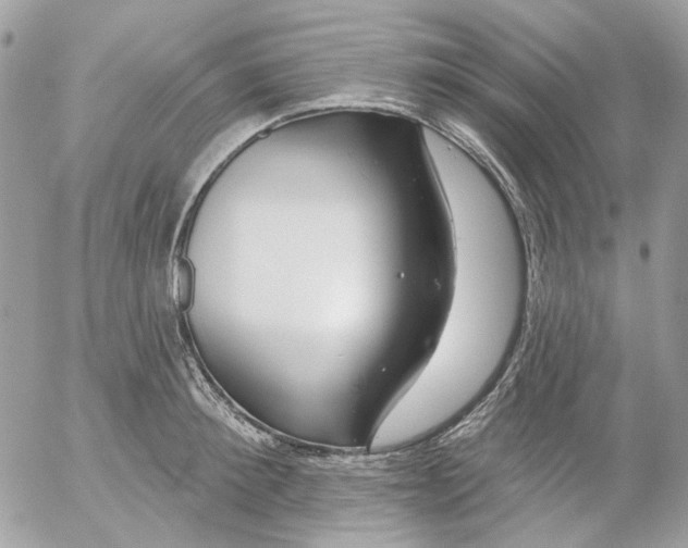 X0000052540900200507221423