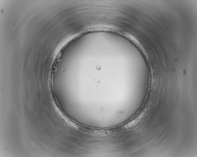 X0000052540901200507221422