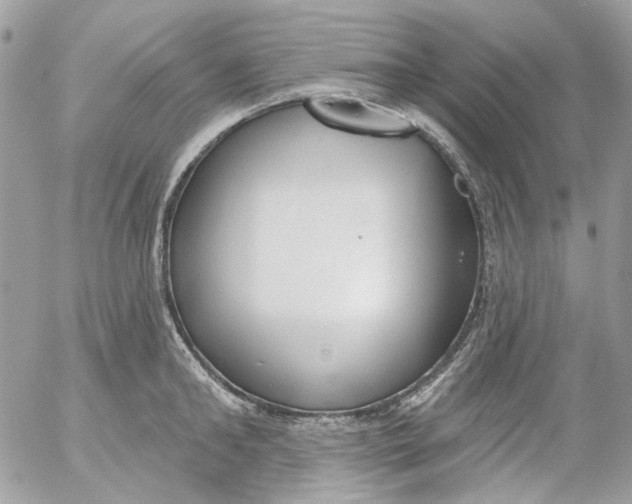 X0000052540902200507221422