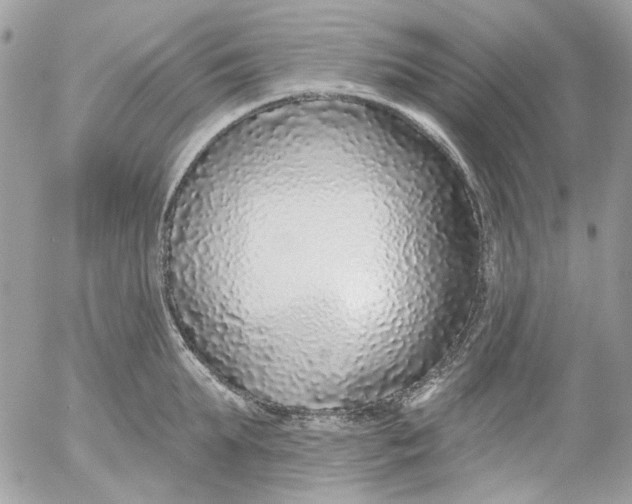 X0000052540903200507221422