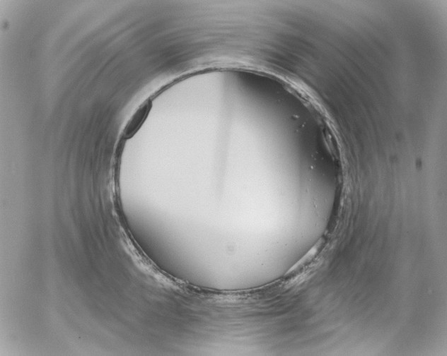 X0000052540904200507221422