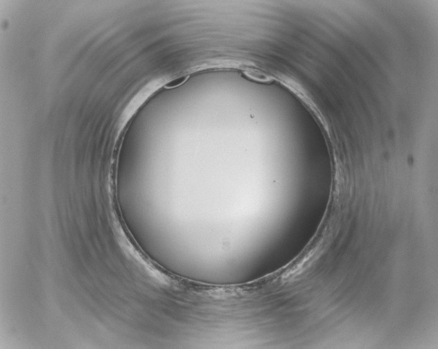 X0000052540906200507221422