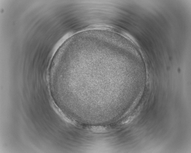 X0000052540907200507221422