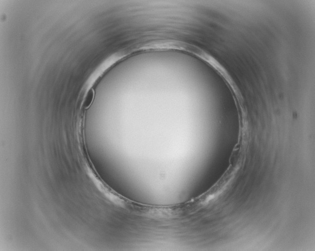 X0000052540909200507221422