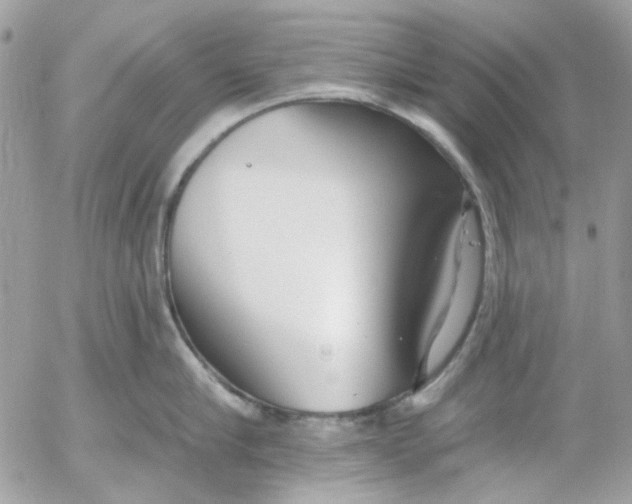 X0000052540910200507221422