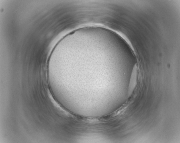 X0000052540911200507221422