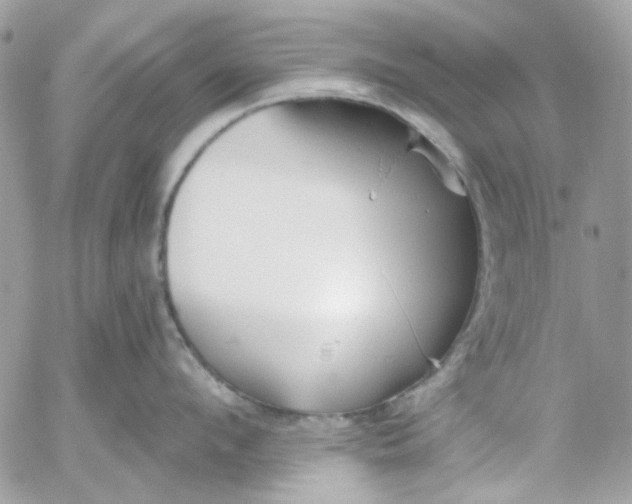 X0000052540912200507221422