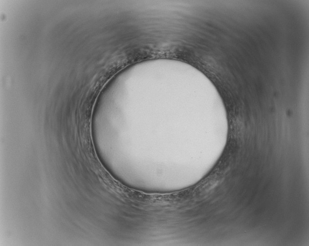 X0000052540913200507221422