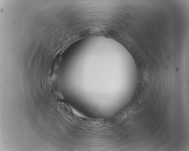 X0000052540914200507221422