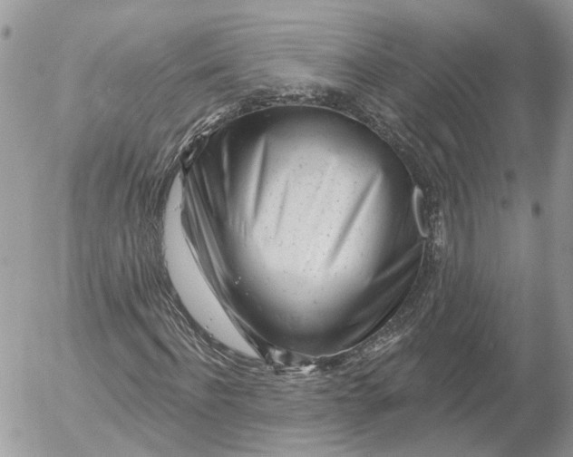 X0000052540916200507221422