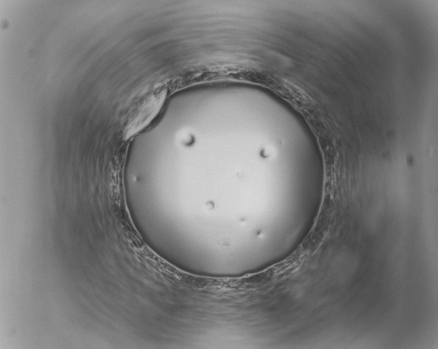 X0000052540917200507221422