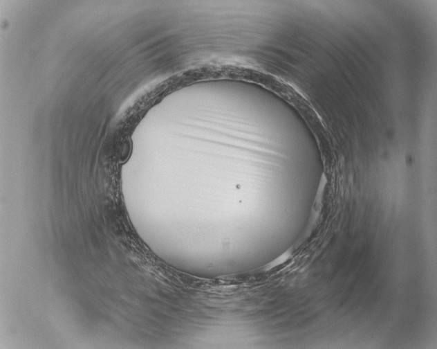 X0000052540919200507221422