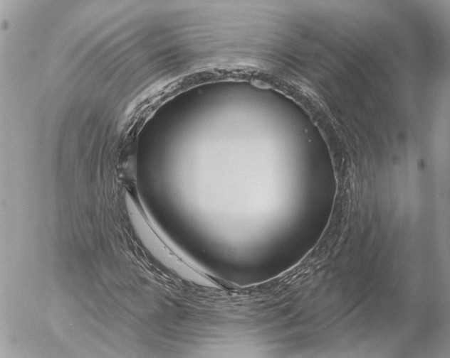 X0000052540920200507221422