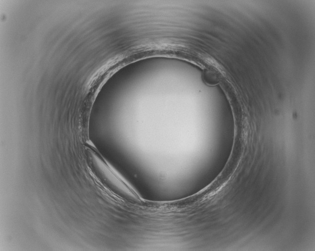 X0000052540922200507221422