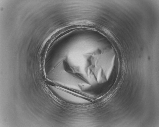 X0000052540923200507221422