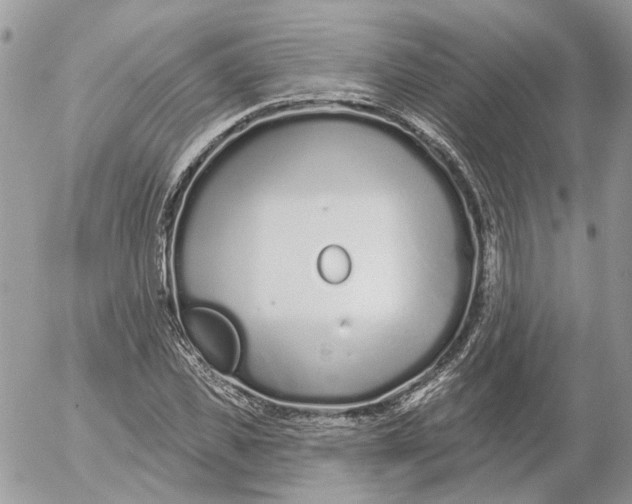 X0000052540925200507221422