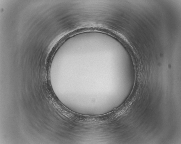 X0000052540927200507221422