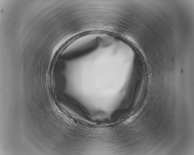 X0000052540928200507221422