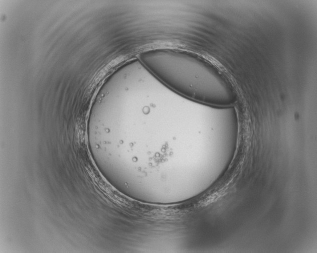 X0000052540929200507221422