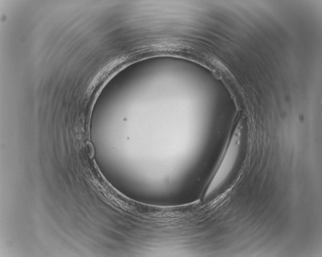 X0000052540930200507221422