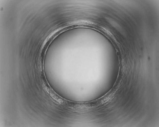 X0000052540931200507221422