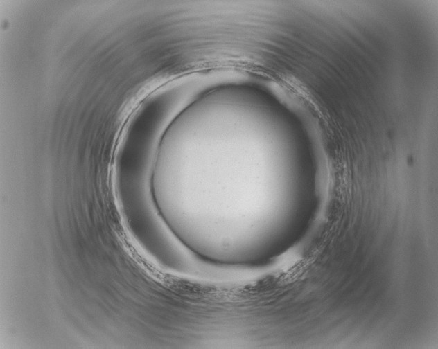 X0000052540932200507221422