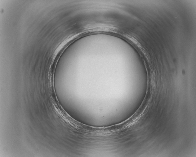 X0000052540933200507221422