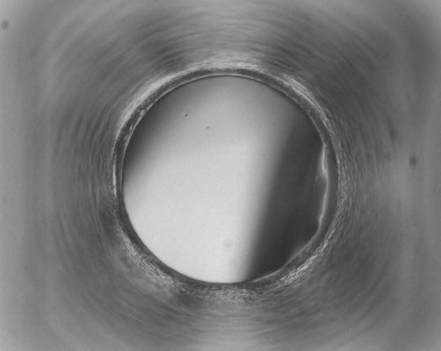 X0000052540934200507221422