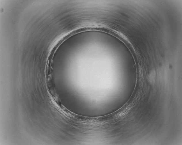 X0000052540935200507221422