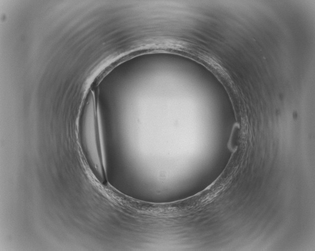 X0000052540936200507221422