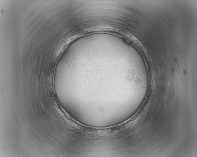 X0000052540937200507221422