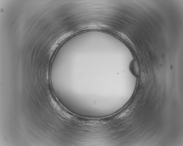 X0000052540938200507221422