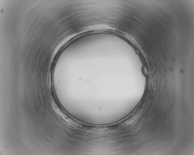 X0000052540939200507221422