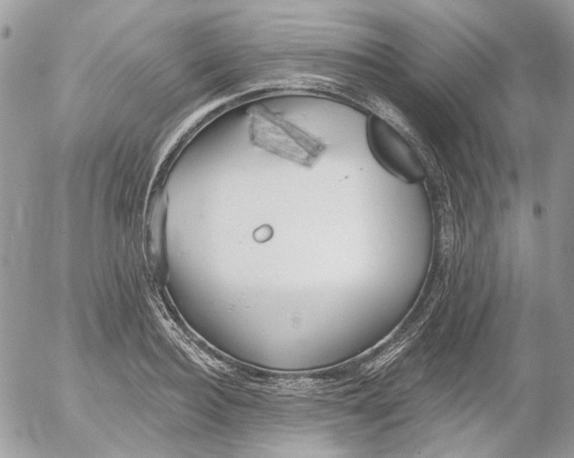 X0000052540940200507221422