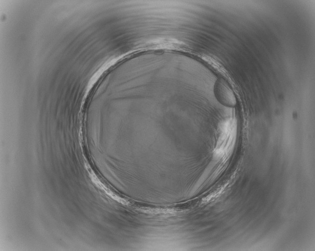 X0000052540941200507221422