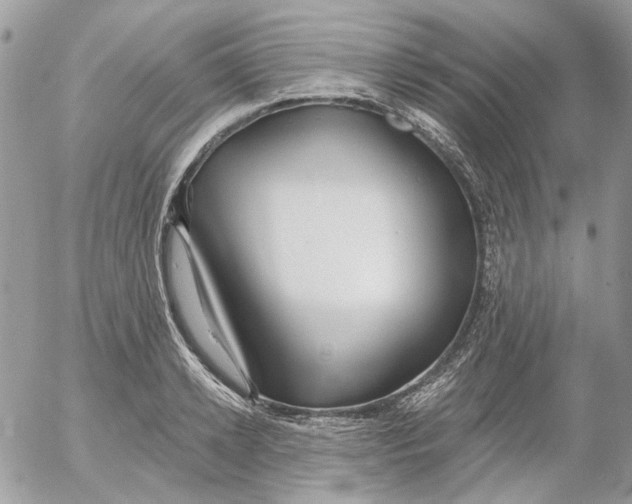 X0000052540942200507221422