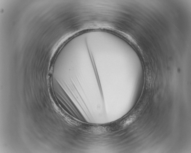 X0000052540943200507221422