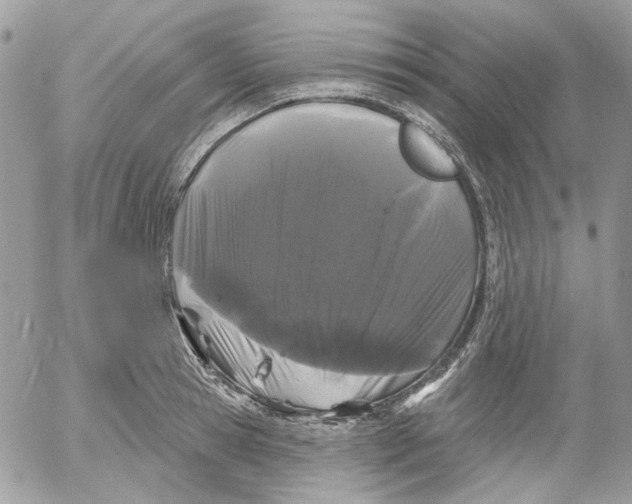 X0000052540945200507221422