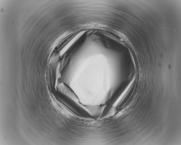 X0000052540946200507221422