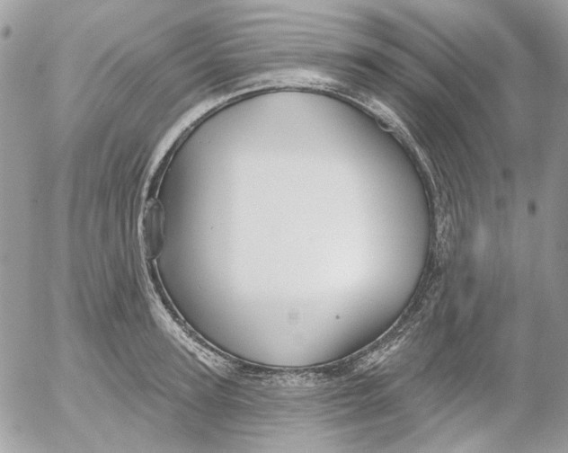 X0000052540947200507221422