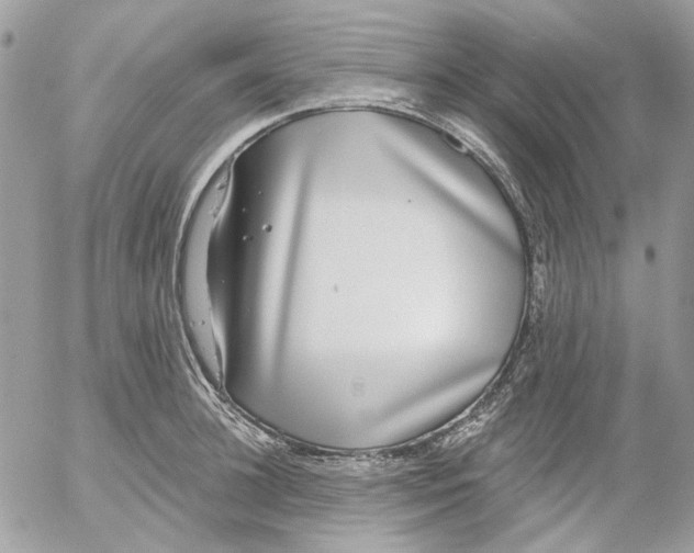 X0000052540948200507221422