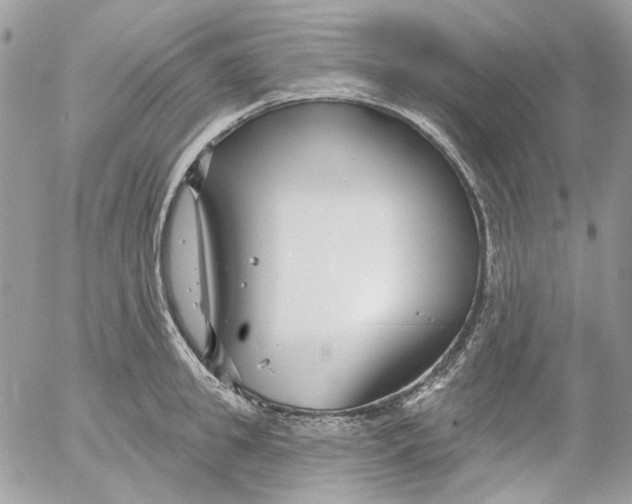 X0000052540949200507221422