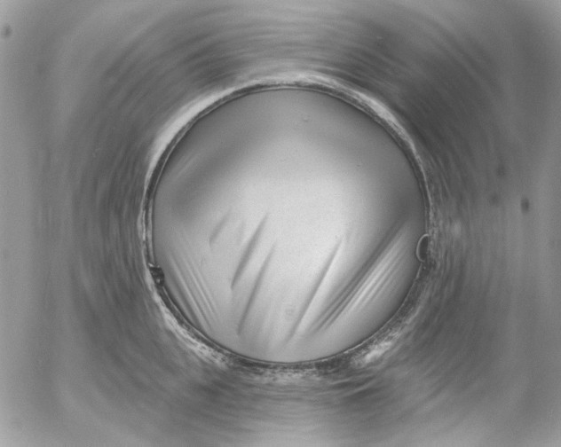 X0000052540951200507221422