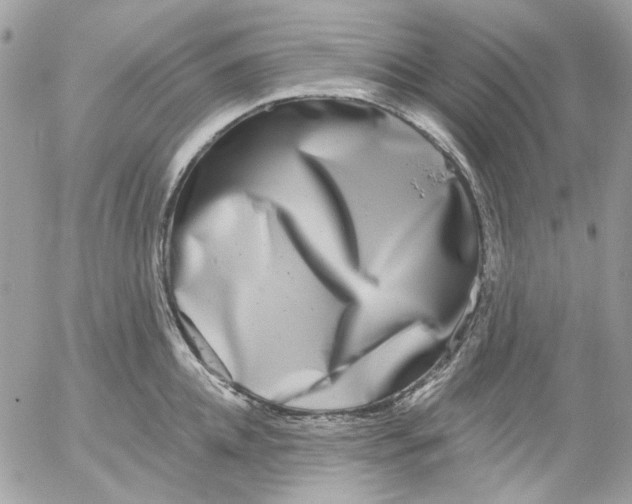 X0000052540952200507221422