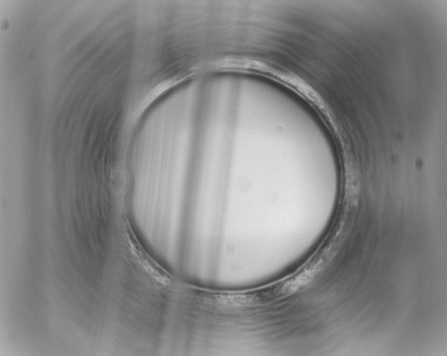 X0000052540953200507221422